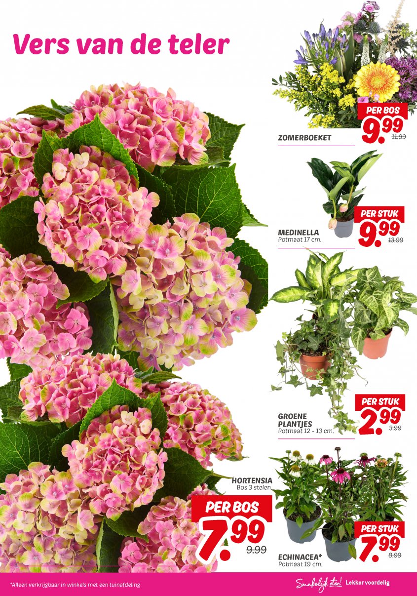 DekaMarkt Aanbiedingen van 19-08-2025 pagina.21