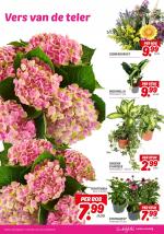DekaMarkt reclame folder week 34, pagina.21