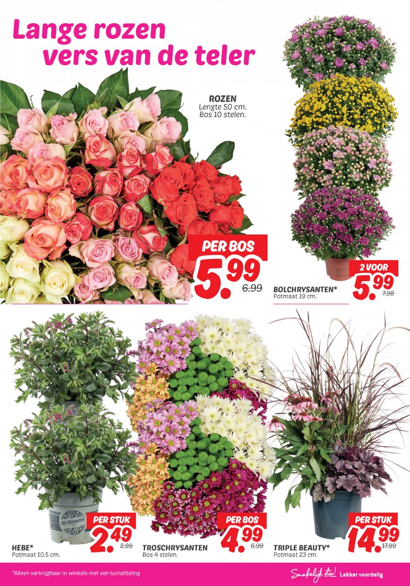 DekaMarkt Aanbiedingen van 26-08-2025 pagina.23