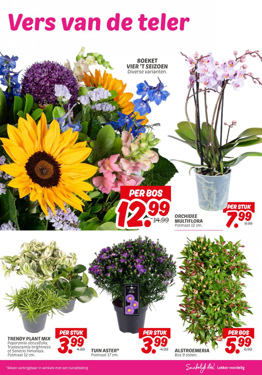 DekaMarkt Aanbiedingen van 02-09-2025 pagina.23