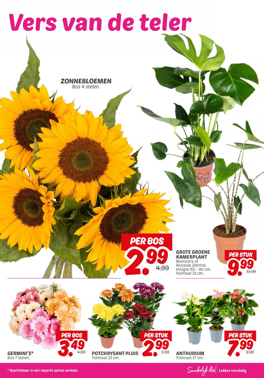 DekaMarkt Aanbiedingen van 23-09-2025 pagina.21