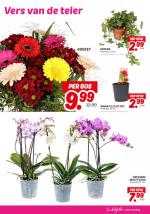 DekaMarkt reclame folder week 44, pagina.19