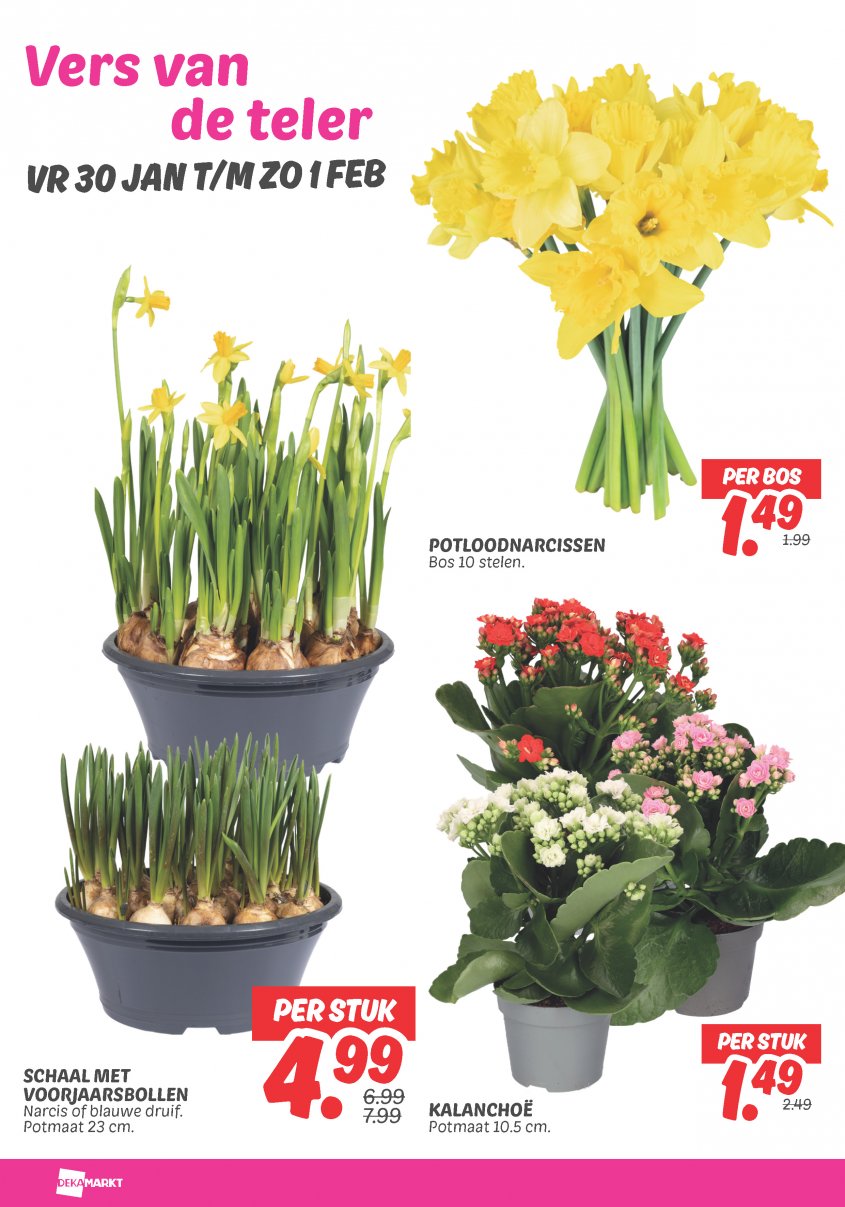 DekaMarkt Aanbiedingen van 27-01-2026 pagina.27