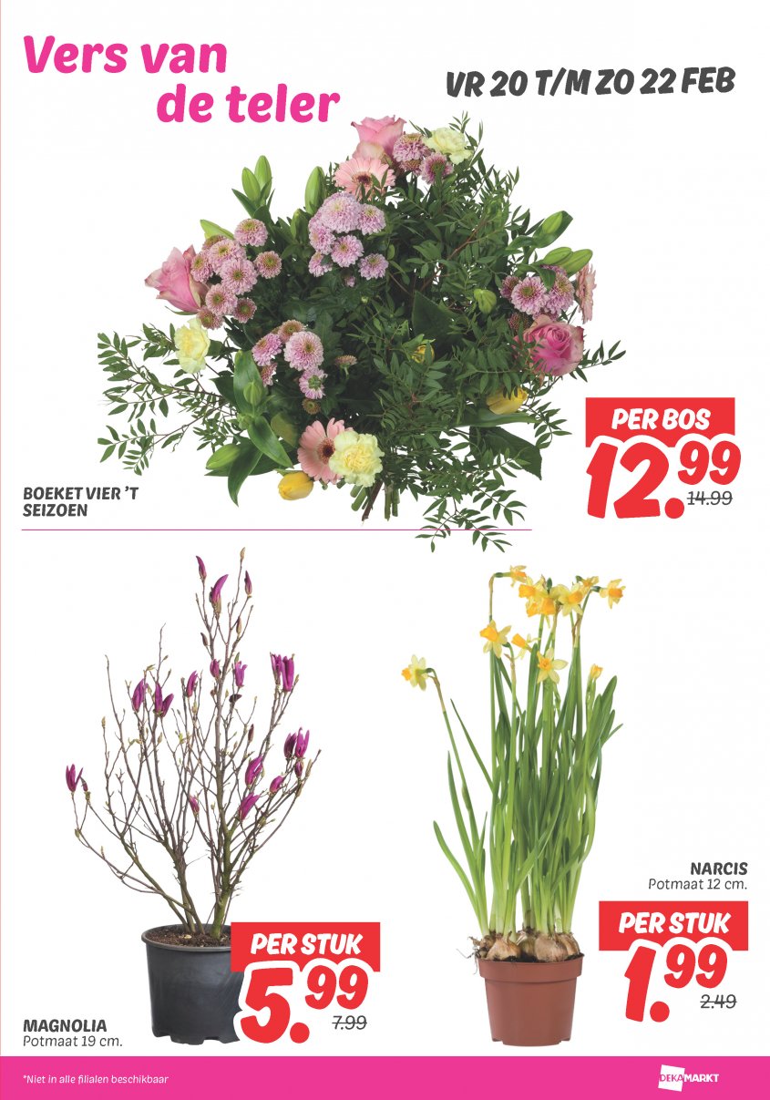 DekaMarkt Aanbiedingen van 17-02-2026 pagina.25