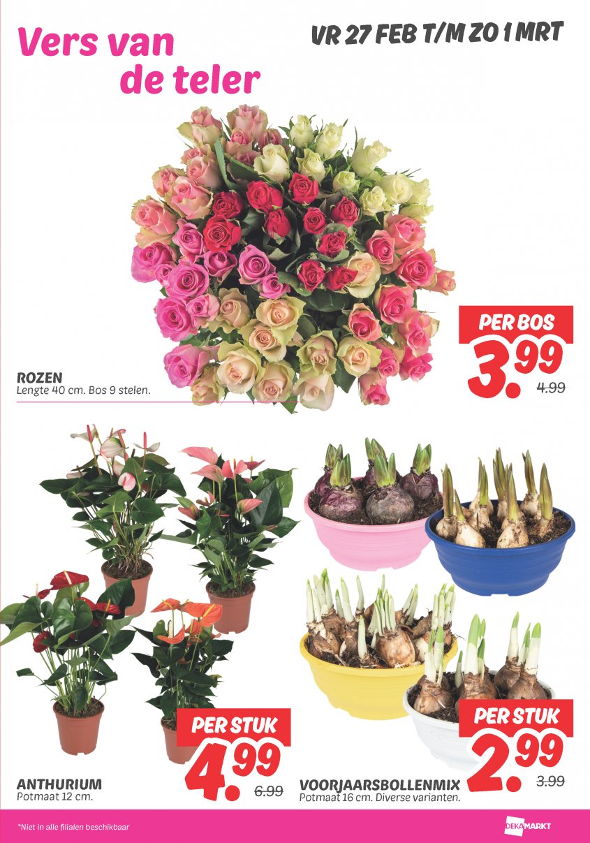 DekaMarkt Aanbiedingen van 24-02-2026 pagina.26
