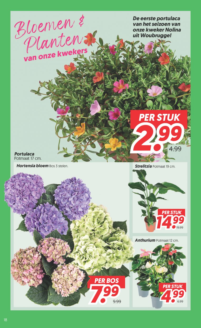 DekaMarkt Aanbiedingen van 09-06-2026 pagina.18