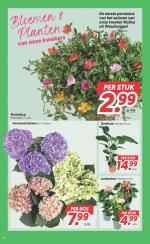 DekaMarkt reclame folder week 24, pagina.18