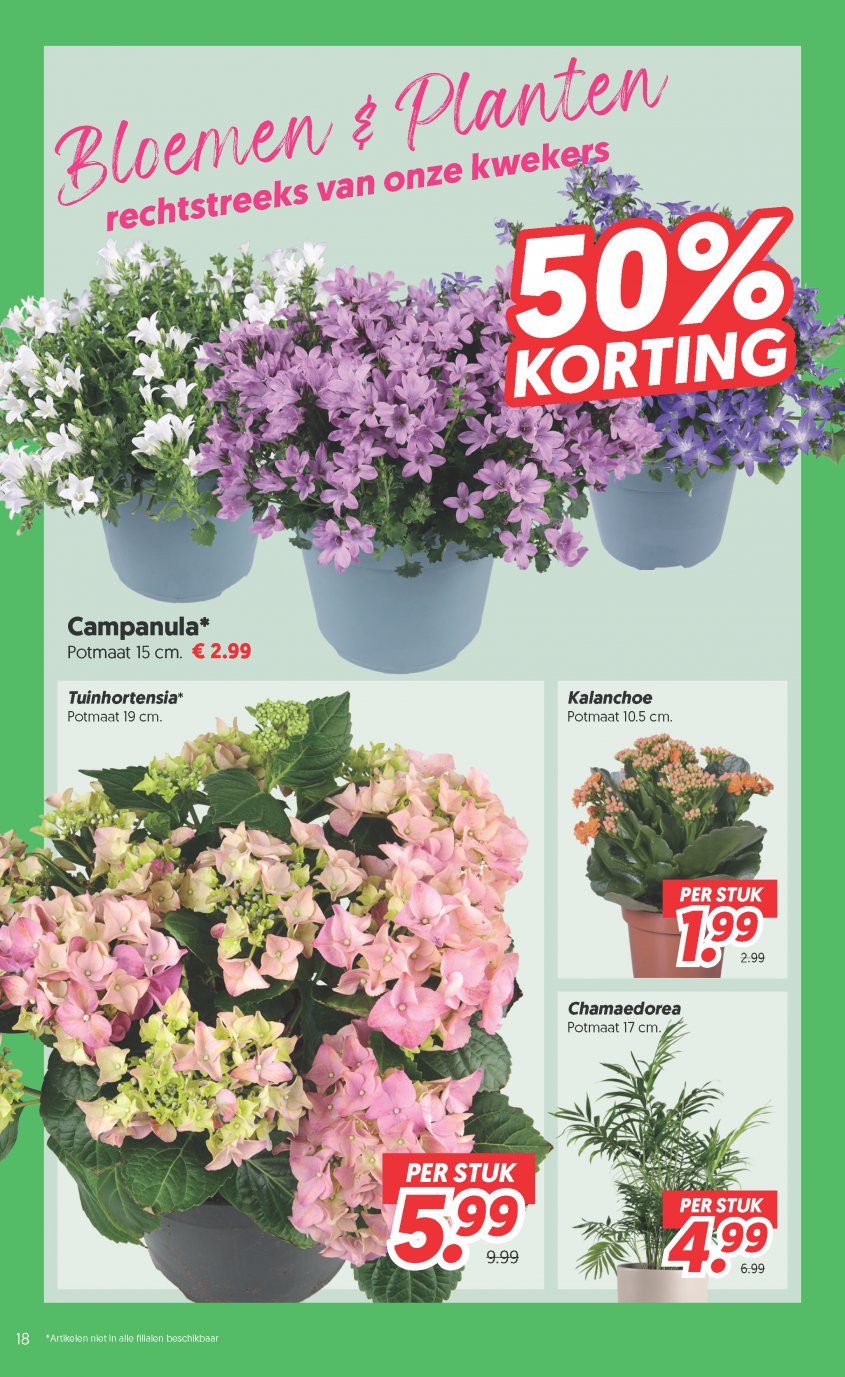 DekaMarkt Aanbiedingen van 16-06-2026 pagina.18