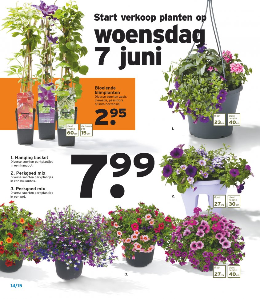 Gamma Aanbiedingen van 06-06-2017 pagina.14