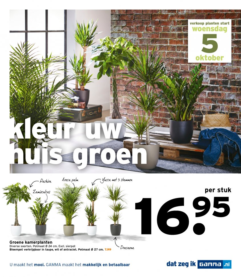 Gamma Aanbiedingen van 03-10-2016 pagina.19