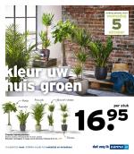 Gamma reclame folder week 40 pagina.19 U maakt het mooi. GAMMA maakt het makkelijk en betaalbaar dat zeg ik kleur uw huis groen Groene kamerplanten Diverse soorten. Potmaat Ø 24 ...