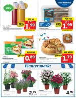 Lidl reclame folder week 26, pagina.7