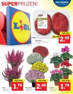 Lidl reclame folder week 38, pagina.7