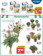 Lidl reclame folder week 42, pagina.7