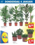 Lidl reclame folder week 01, pagina.19