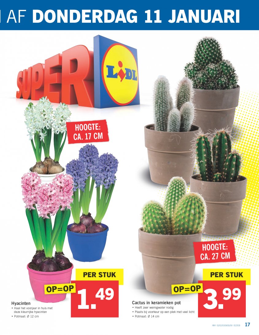 Lidl Aanbiedingen van 08-01-2018 pagina.17