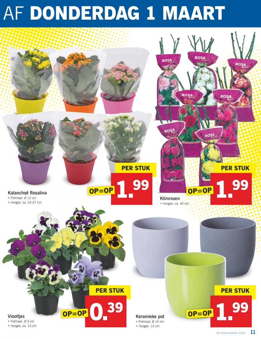 Lidl Aanbiedingen van 26-02-2018 pagina.11