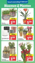 Lidl reclame folder week 06, pagina.13