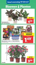 Lidl reclame folder week 08, pagina.22