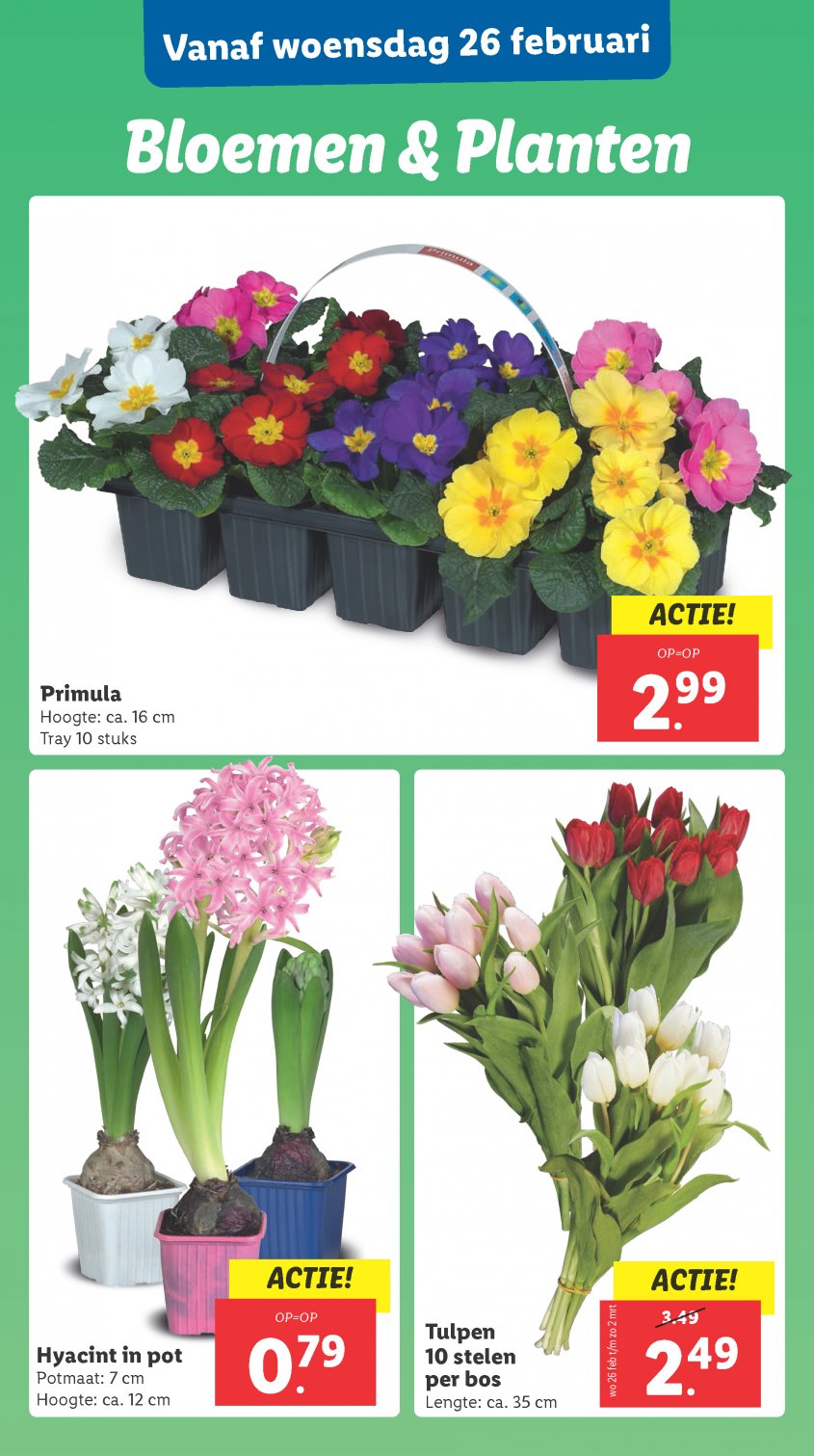 Lidl Aanbiedingen van 24-02-2025 pagina.21