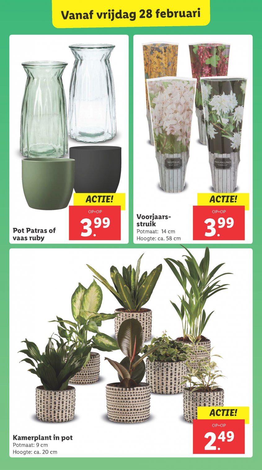 Lidl Aanbiedingen van 24-02-2025 pagina.23