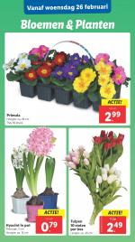 Lidl reclame folder week 09, pagina.21