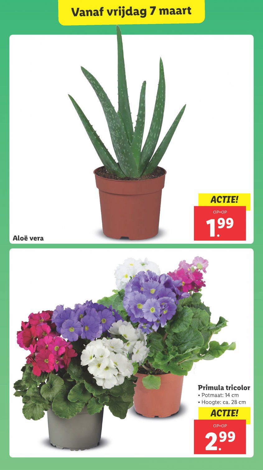 Lidl Aanbiedingen van 03-03-2025 pagina.16