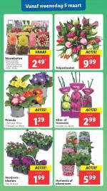 Lidl reclame folder week 10, pagina.15