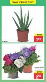 Lidl reclame folder week 10, pagina.16