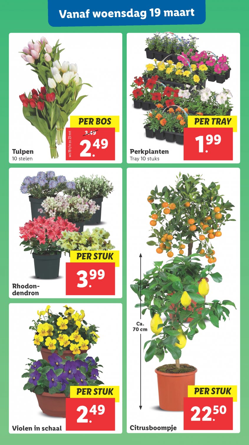 Lidl Aanbiedingen van 17-03-2025 pagina.26
