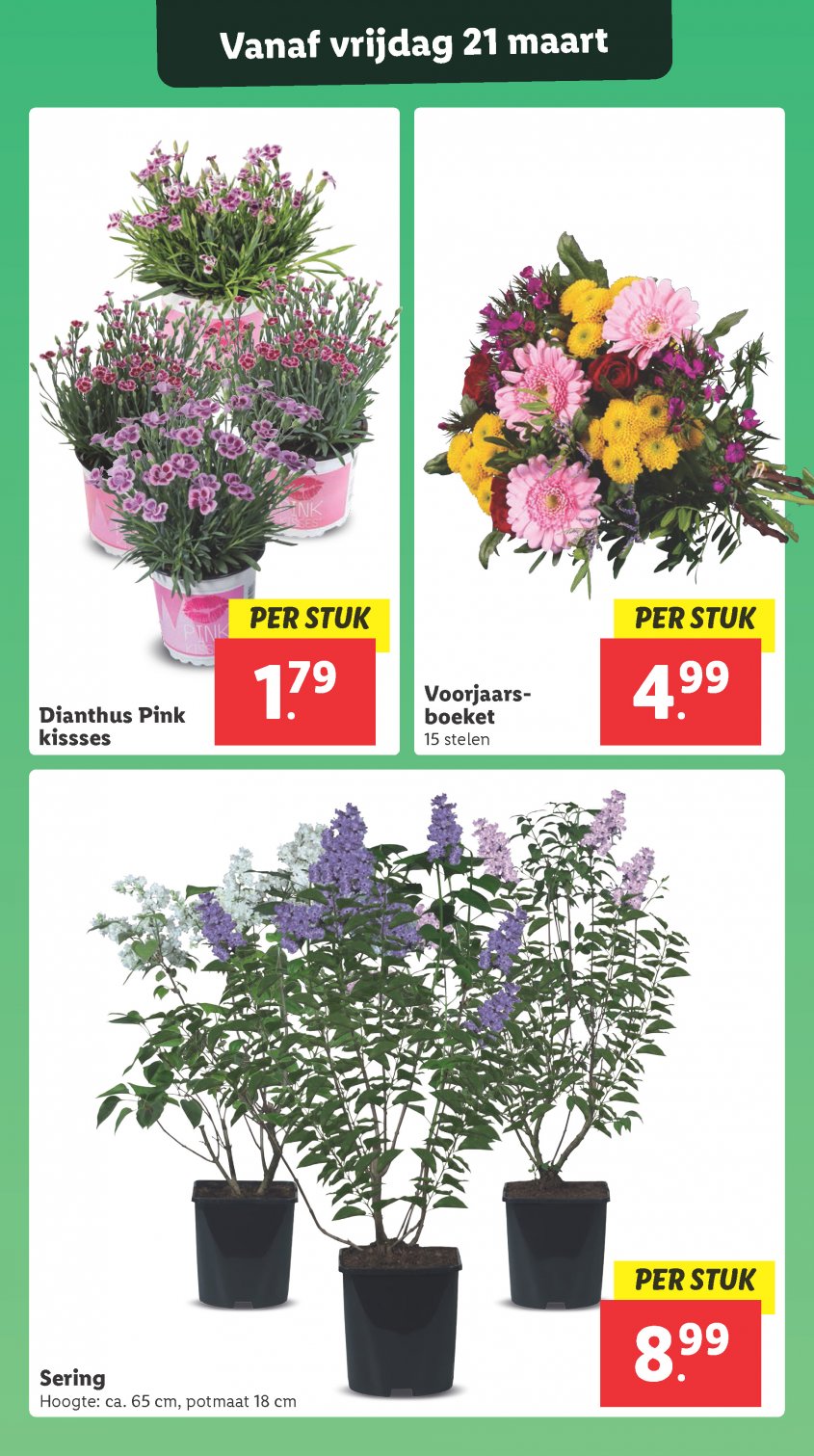 Lidl Aanbiedingen van 17-03-2025 pagina.27
