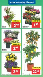 Lidl reclame folder week 12, pagina.26