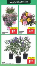 Lidl reclame folder week 12, pagina.27