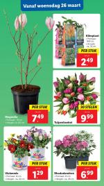 Lidl reclame folder week 13 pagina.24 