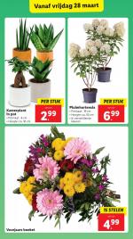 Lidl reclame folder week 13 pagina.25 