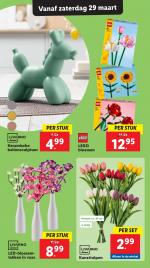 Lidl reclame folder week 13 pagina.48 