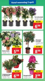 Lidl reclame folder week 14, pagina.17
