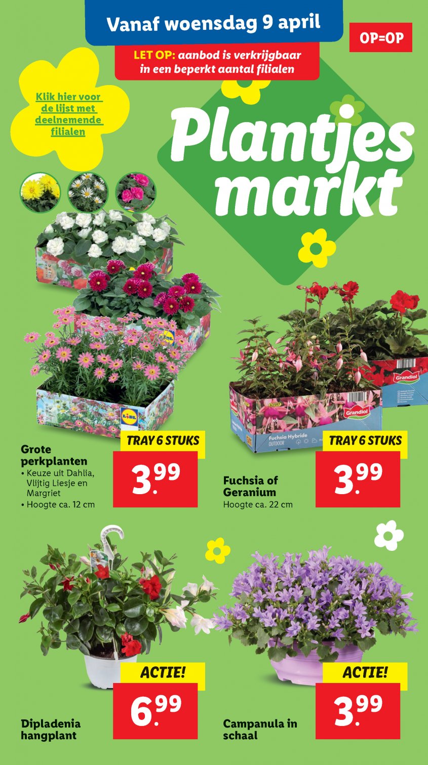 Lidl Aanbiedingen van 07-04-2025 pagina.36