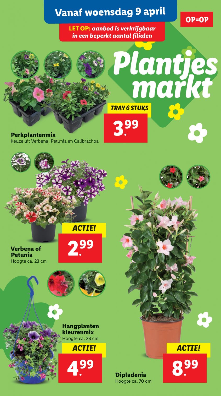 Lidl Aanbiedingen van 07-04-2025 pagina.37
