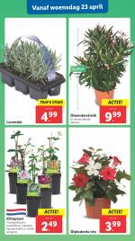 Lidl reclame folder week 17 pagina.28 