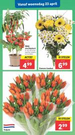 Lidl reclame folder week 17 pagina.29 