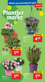 Lidl reclame folder week 18 pagina.27 