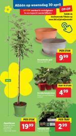 Lidl reclame folder week 18 pagina.29 