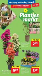 Lidl reclame folder week 18 pagina.31 