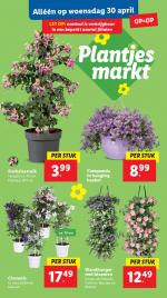 Lidl reclame folder week 18 pagina.32 
