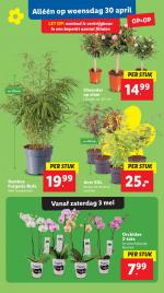 Lidl reclame folder week 18 pagina.33 