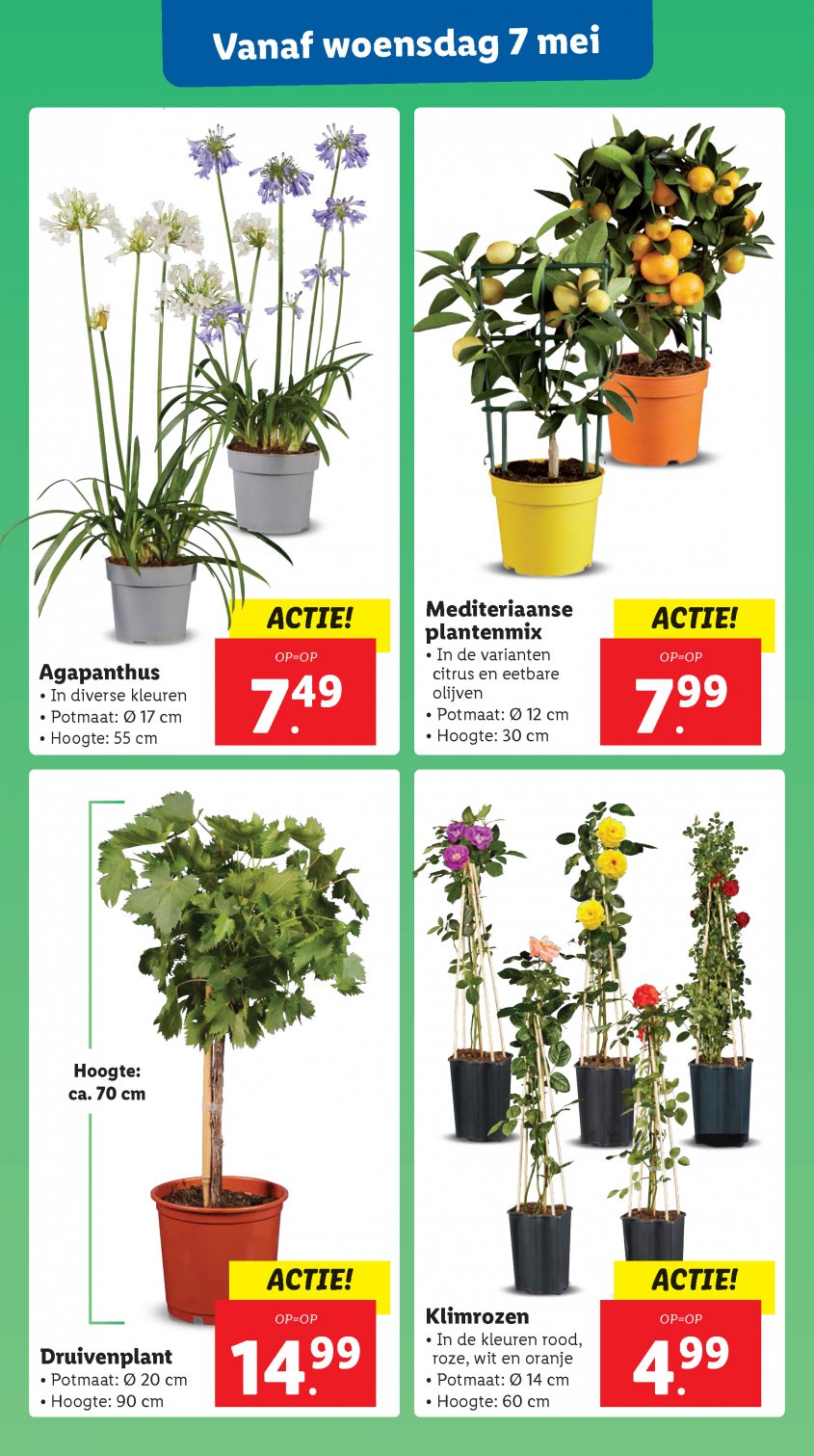 Lidl Aanbiedingen van 05-05-2025 pagina.33