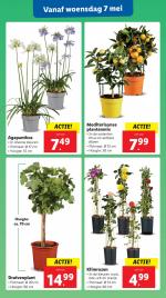 Lidl reclame folder week 19 pagina.33 