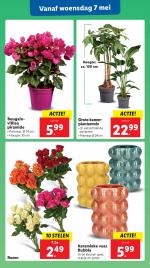 Lidl reclame folder week 19 pagina.34 