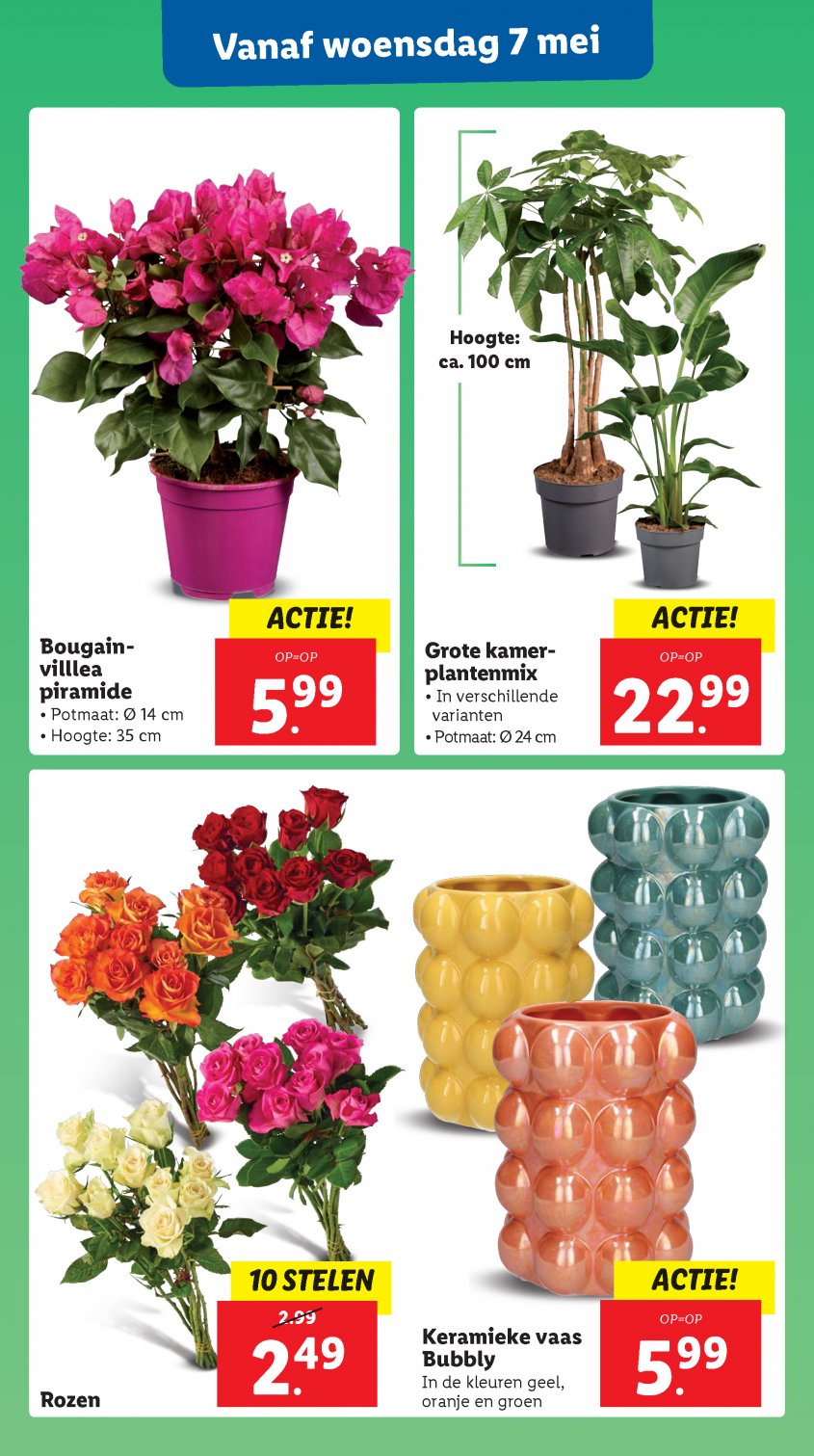 Lidl Aanbiedingen van 05-05-2025 pagina.34
